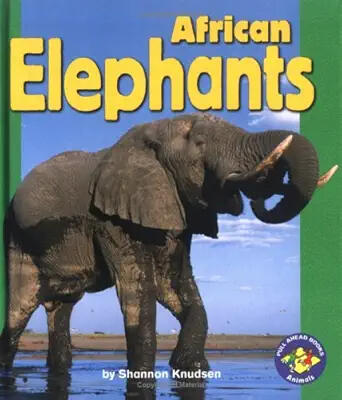 African Elephants